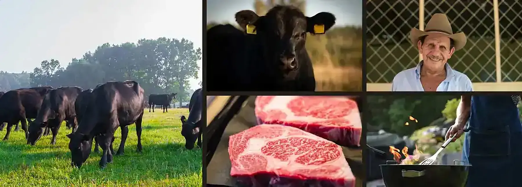 American Farmers Network work