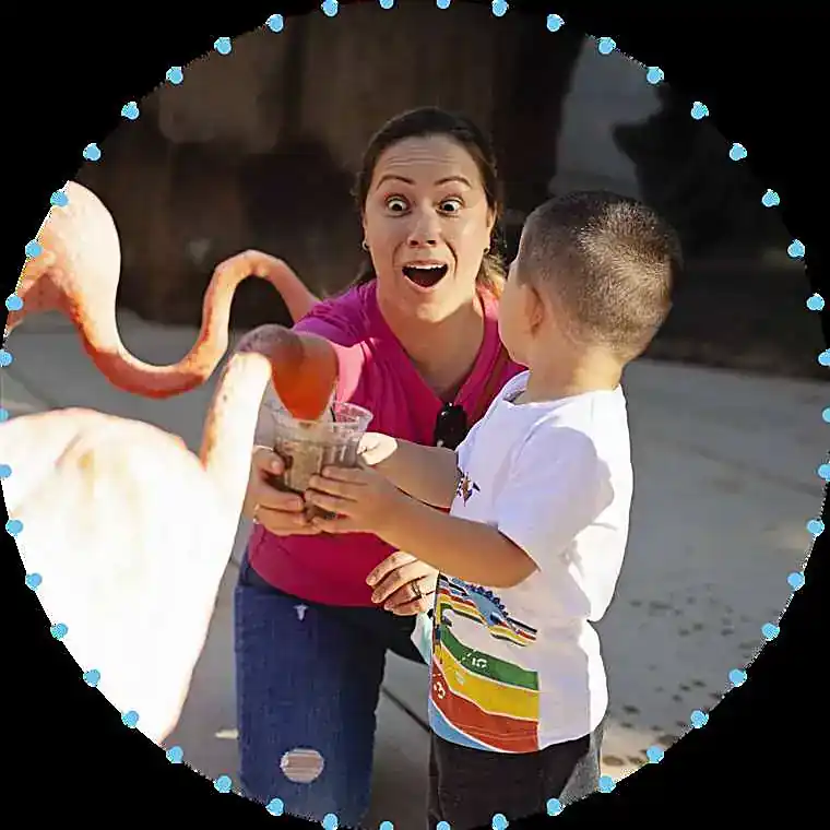 City of Palo Alto Museum & Zoo work