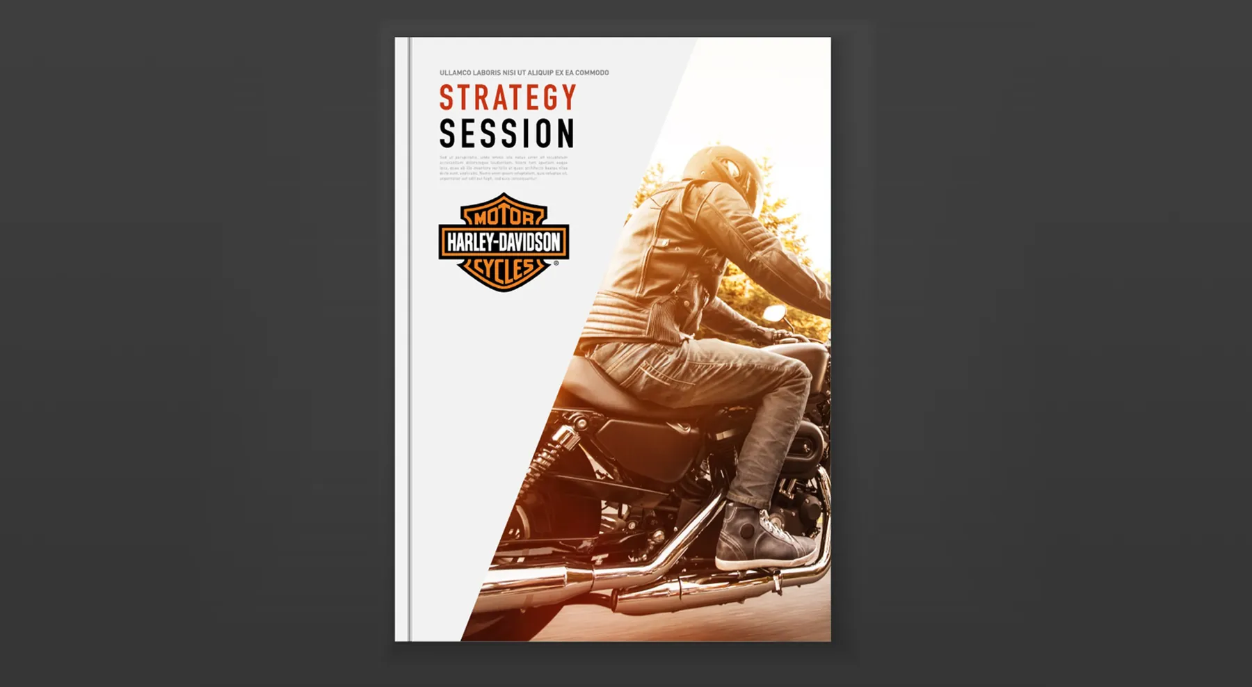 Harley Davidson work