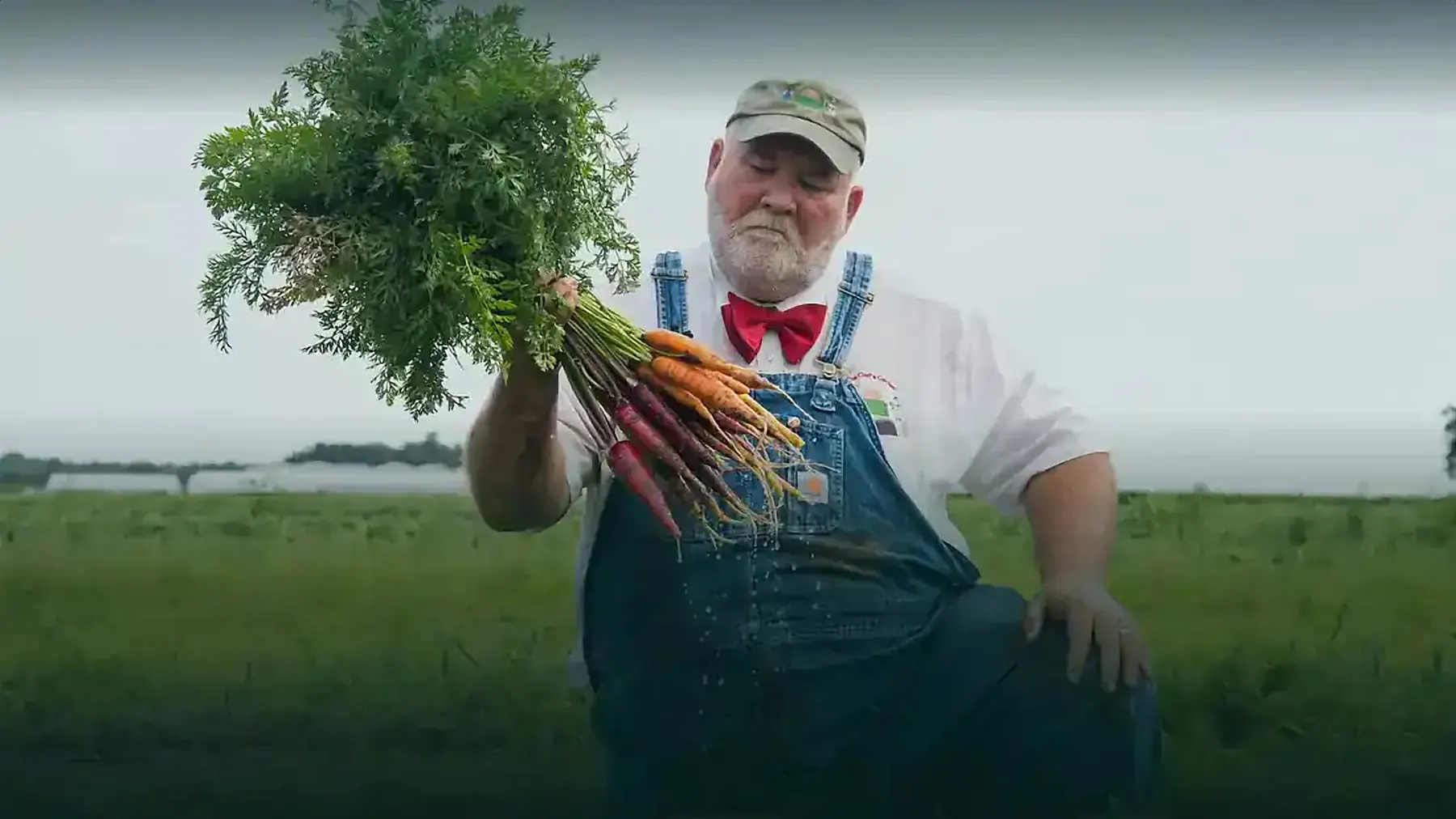 The Chef's Garden work